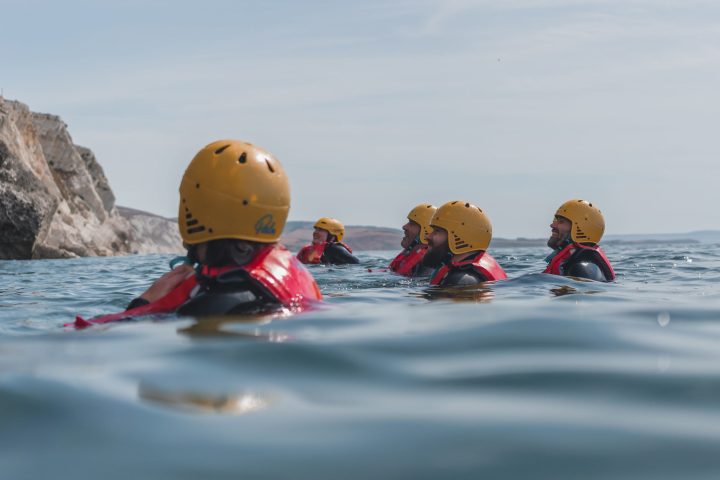 a group of stuffed animals that are in the water